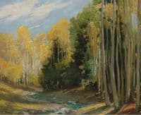 Aspen Forest, Hondo Canyon near Taos