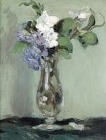 Still-life of Primulas in a Glass Vase