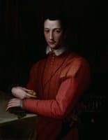 Portrait of Francesco de'Medici
