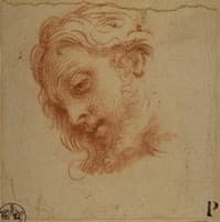 Head of a Man