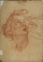 Head of a Woman