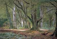 In the Shade of the Beeches, Buckhurst Park, Kent
