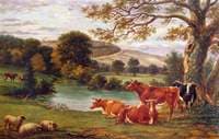 Boxhill, River Mole and Cows, Dorking, Surrey