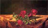 Roses Lying on Gold Velvet