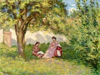 In the Shadow of a Tree
