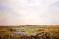 Spring Landscape with a Shepherd and His Dog