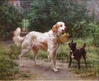 English Setter and Terrier
