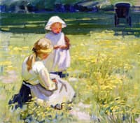 Buttercups