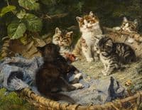 Five Kittens in a Basket