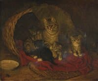 Cat and Kiitens