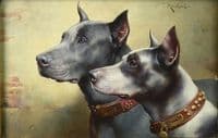 Two Great Danes