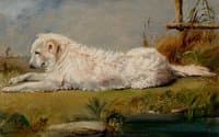 The Family Dog