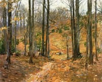 Virginia Woods