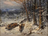 Wild Boar in Winter Forest