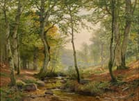Forest Clearing with Stream