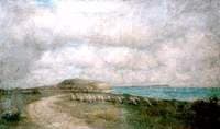 Sheep on Hengistbury Head