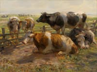 Pasture Idyll