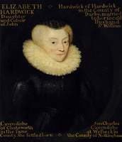Portrait of an Unidentified Widow known as Elizabeth Hardwick)