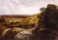 Country Scene