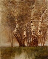 Birches