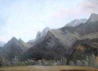 Mountainous Wooded Landscape