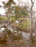 Evensong: the Brook at Halton Green