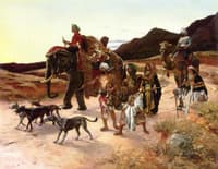 The Tiger Hunt