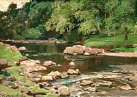 Stream with Boulders