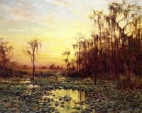 Sunset on the Suwannee River