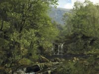 Cascade in Wooded Mountains