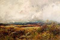 A Galloway Moor