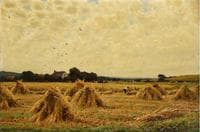 Harvest Time