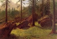 Wooded Landscape
