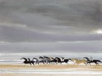 Horses on the Beach