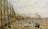 Stake Nets on the Solway