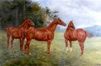 Three Chestnut Horses in a Landscape
