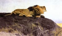 Roaring Lion
