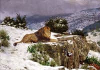 A Lion in the Snow