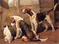 Waiting for the Hunt: a Terrier and Two Hounds