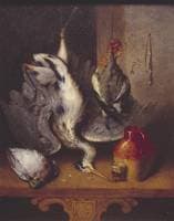 Still Life