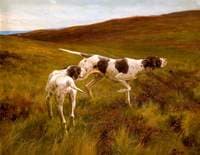 Pointers in a Landscape