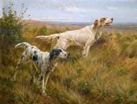 Two Setters in a Landscape