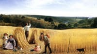 The Valleys also Stand Thick with Corn: Psalm LXV