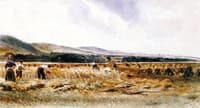Harvest Field