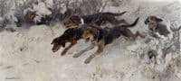 Pack of Scent Dogs