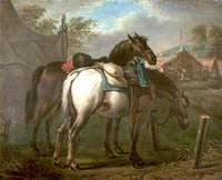 Two Pack Horses