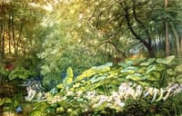Under the Dark Leaves: An Autumnal Evening's Dream