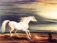 Napoleon's Horse, Marengo, at Waterloo