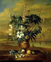 January. Twelve Months of Flowers