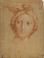 Study of a Woman's Head
